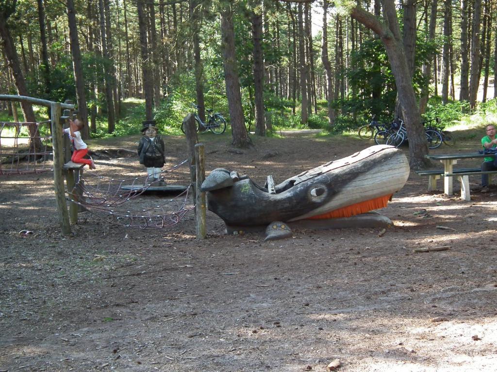 Hollumerduinen Hollum  Esterno foto