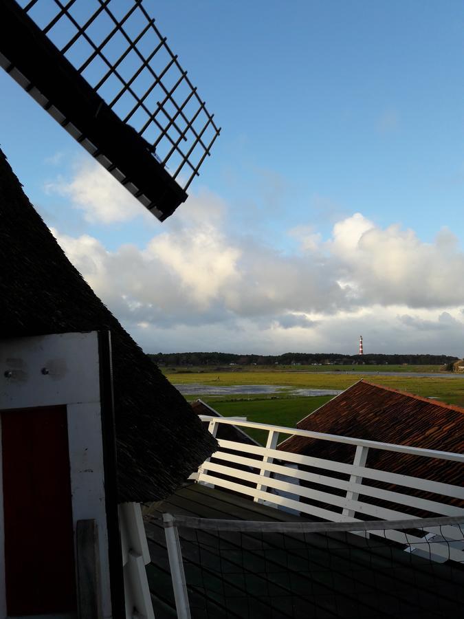 Hollumerduinen Hollum  Esterno foto